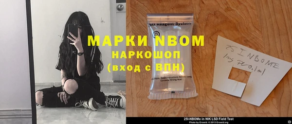 сатива Кинешма