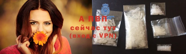 сатива Кинешма