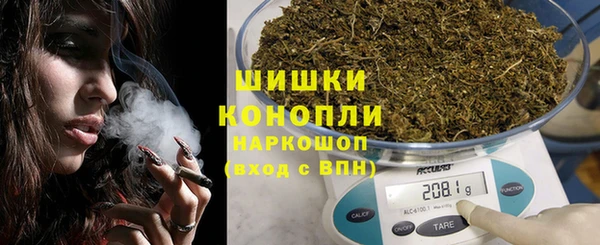 сатива Кинешма